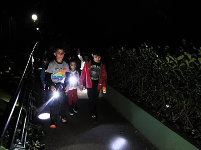 Orquidário de Santos oferece visitas noturnas e recreação em julho