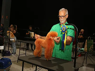 Primeira feira pet friendly em Santos estreia com as últimas tendências do mercado animal