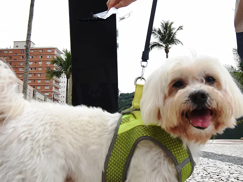 PG ganha mais de 50 totens com saquinhos biodegradáveis gratuitos para  tutores de pets