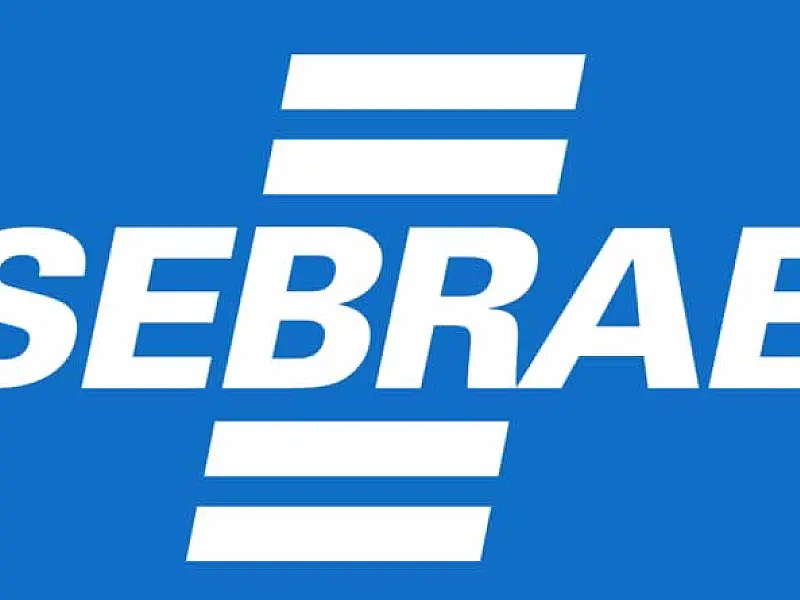 Sebrae-SP abre inscrições para agentes de inovação com bolsas de até R$ 6,5 mil na Baixada Santista