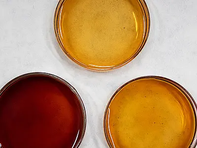 Mel da florada do açaí possui altos teores de compostos antioxidantes