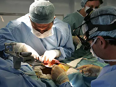 Transplante de órgãos cresce no Brasil, mas nível pré-pandemia ainda não foi atingido