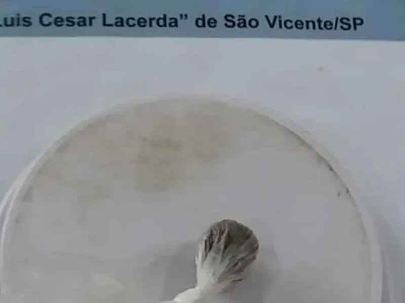 Visitante é flagrada com droga ao tentar entrar no CDP de São Vicente