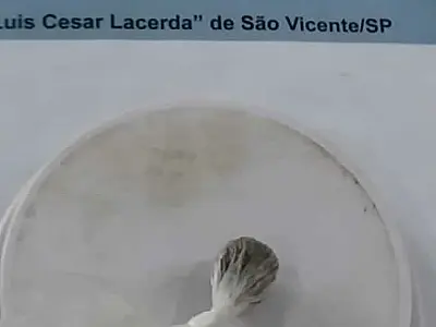 Visitante é flagrada com droga ao tentar entrar no CDP de São Vicente