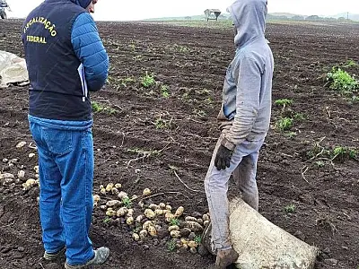 Número de resgatados em trabalho análogo ao escravo já é recorde