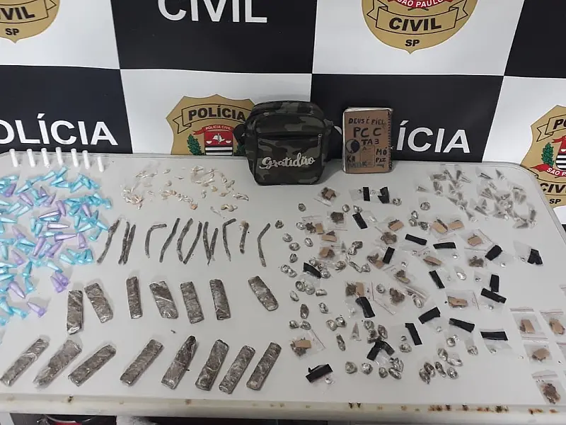 Polícia Civil apreende 275 porções de drogas