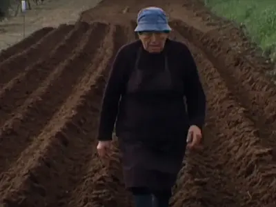 Filme 'Terra que Marca' fala da lavoura lusa, mas mira festivais franceses