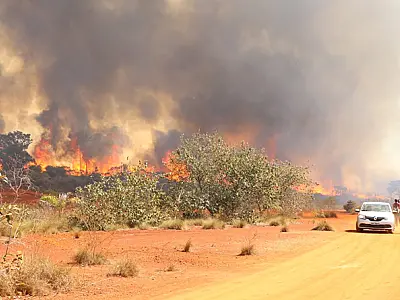São Paulo faz alerta para doenças transmitidas em tempos de estiagem, calor e queimadas