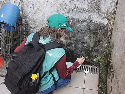 Mutirão em Santos elimina 90 focos de mosquitos da dengue no Campo Grande