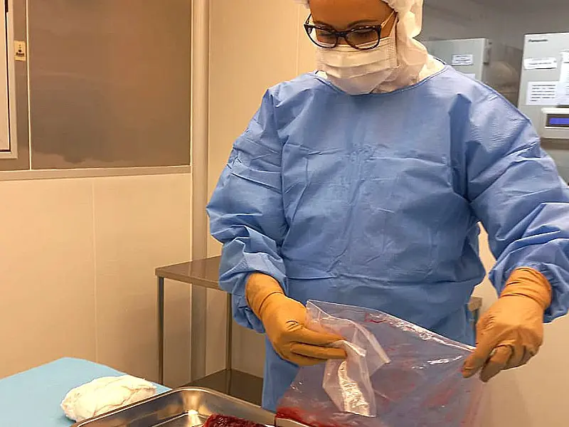 Pesquisa desenvolve curativos biológicos à base de placenta