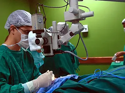 Convênio pode estimular e agilizar doação de órgãos no país