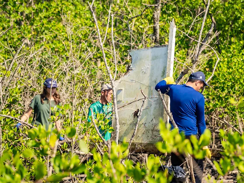 Bertioga realiza mutirão de limpeza do mangue durante o período de defeso do camarão
