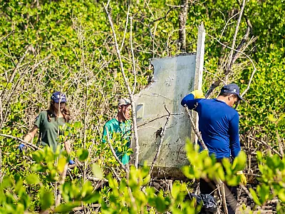 Bertioga realiza mutirão de limpeza do mangue durante o período de defeso do camarão