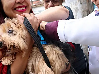 Projeto 'Pet PG Chip' participa da Feira da Longevidade nesta quarta-feira (26)