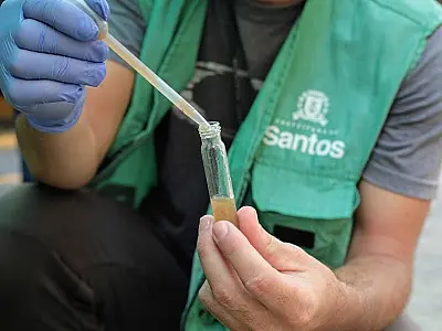 Mutirão contra o Aedes será realizado na Ponta da Praia de Santos