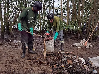 Serviço na Cidade: Cubatão tem mutirão de limpeza do mangue neste domingo