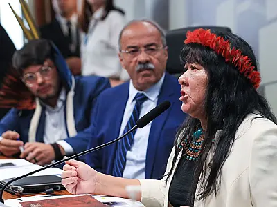 Presidenta da Funai elege medidas urgentes para terra Yanomami