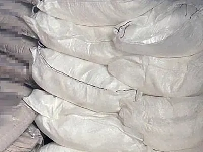 Polícia encontra meia tonelada de cocaína em contêiner de açúcar no litoral de São Paulo