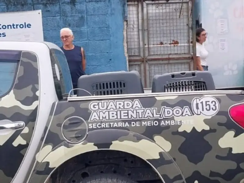 Animais domésticos vítimas de maus-tratos são resgatados pelo DOA