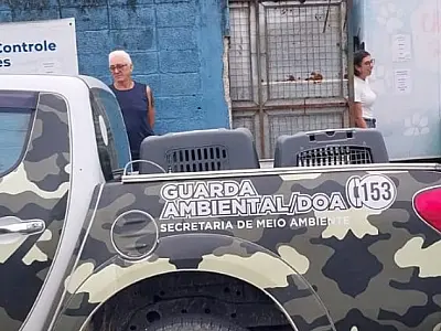 Animais domésticos vítimas de maus-tratos são resgatados pelo DOA