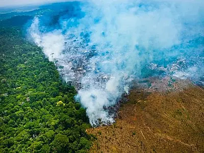 Queda no desmatamento da Amazônia se consolida sob Lula, mas derrubada é recorde no cerrado