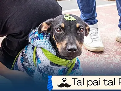 Campanha “Tal pai, tal pet” acontece em homenagem ao Dia dos Pais