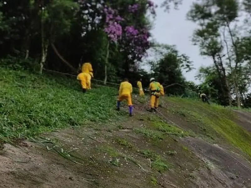 Cidade reforça limpeza nos morros para evitar deslizamentos