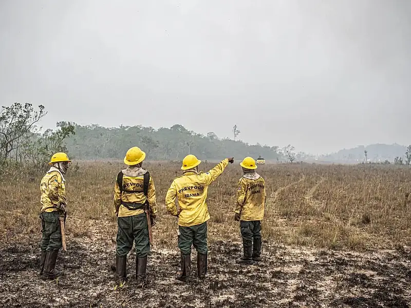 Dino estabelece orçamento de emergência para combate a incêndios