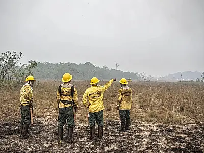 Dino estabelece orçamento de emergência para combate a incêndios