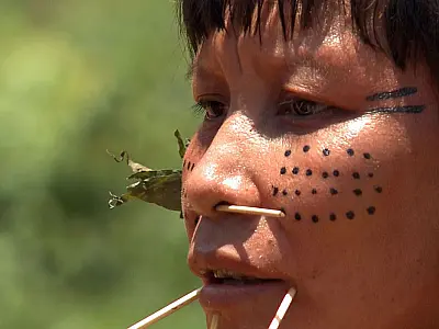 Força-tarefa inutiliza 272 acampamentos de garimpo na Terra Yanomami