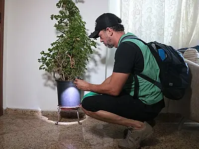 Mutirão contra o Aedes volta à Ponta de Praia de Santos na quarta