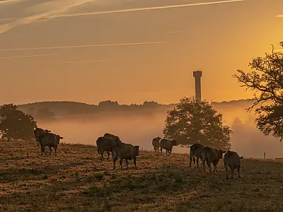 Exportações crescem com avanço do agro; indústria perde espaço