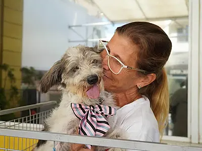 Guarujá terá feira de adoção de cães e gatos neste sábado