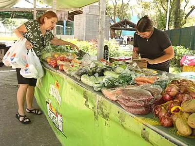 Feira de Orgânicos oferece alimentos saudáveis em três pontos de Santos
