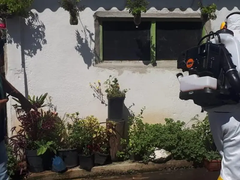 Bairro de Santos recebe aplicação de inseticida contra Aedes aegypti neste sábado