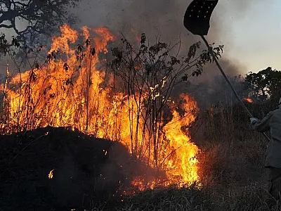 Amazônia concentra 90% da área com focos de incêndio no 1º bimestre