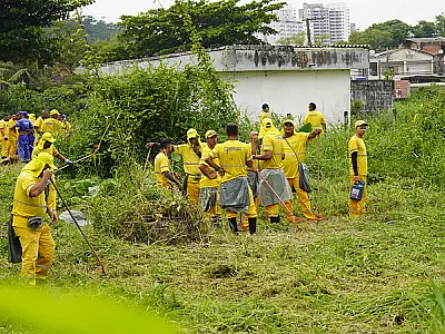 Prefeitura faz mutirão de zeladoria para combate à dengue em terreno no Guarujá