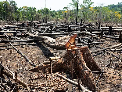 Desmatamento na amazônia cai 22% em 2023, menor patamar desde 2018