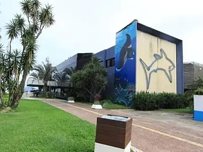 Aquário de Santos oferece diversas atividades para a criançada em novembro