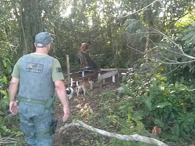 Operação ambiental em Bertioga interrompe comércio ilegal de madeira e intensifica patrulhamentos