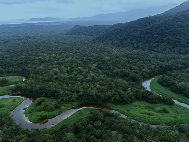 Conselho Estadual do Meio Ambiente convoca audiência para discutir assunto