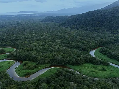 Conselho Estadual do Meio Ambiente convoca audiência para discutir assunto