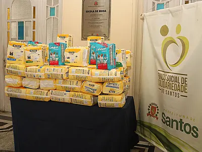 Fundo Social de Santos recebe 70 pacotes de fraldas geriátricas arrecadados por associação