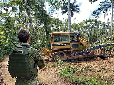 Ibama e PRF desmontam mais de 190 acampamentos na TI Yanomami