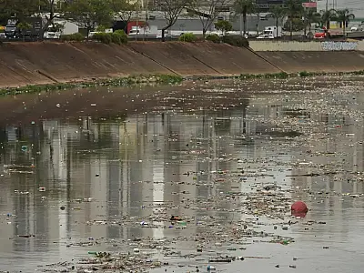 Qualidade da água na Mata Atlântica melhora, mas alerta persiste