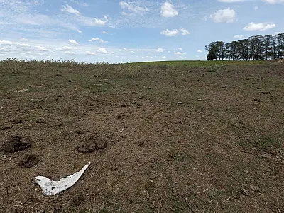 Governo lança plataforma para identificar vulnerabilidades climáticas