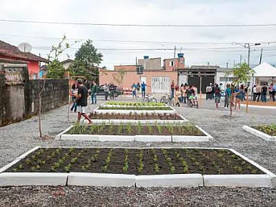 Hortas comunitárias recebem doação de mudas de moradora de PG
