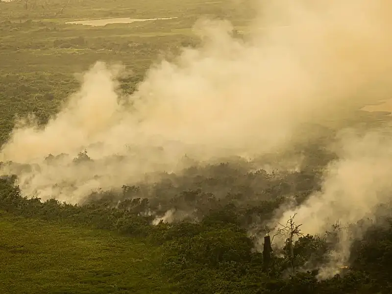 Com incêndios, Mato Grosso do Sul decreta situação de emergência