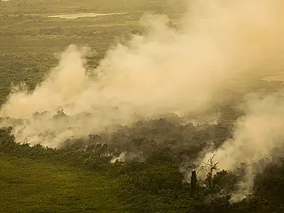 Com incêndios, Mato Grosso do Sul decreta situação de emergência