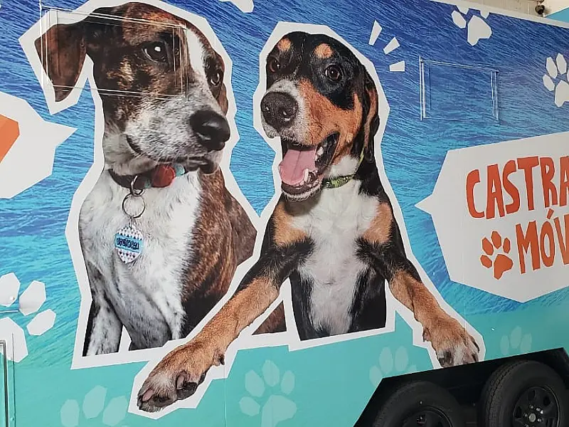 Castramóvel retoma as atividades para os animais do Jardim Vicente de Carvalho
